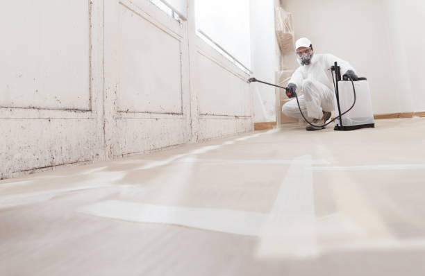24/7 Emergency Basement Mold Remediation experts in Oregon City, OR