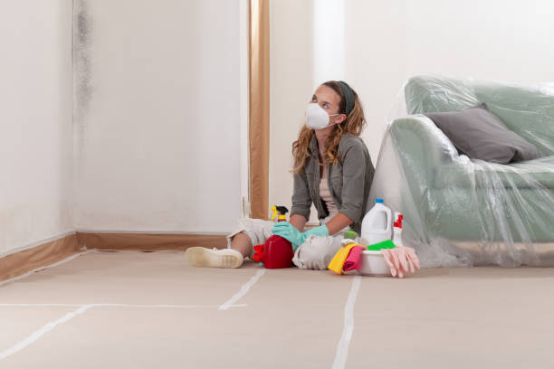 Reliable Basement Mold Remediation contractor in Oregon City, OR by 24 Hour Mold Removal